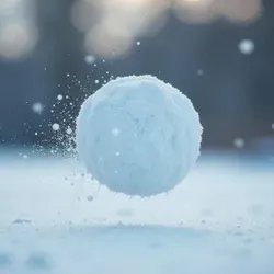 snowball Logo